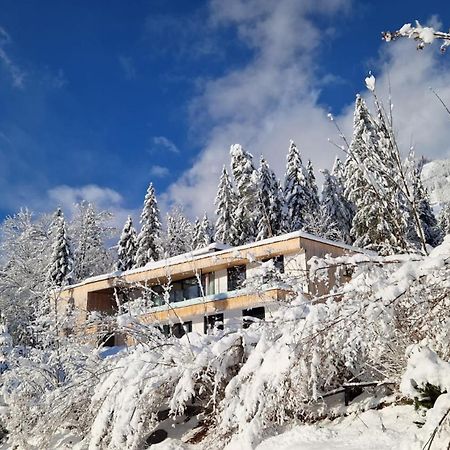 Exklusive Ferienwohnung Am Prielerweg In Hinterstoder Dış mekan fotoğraf