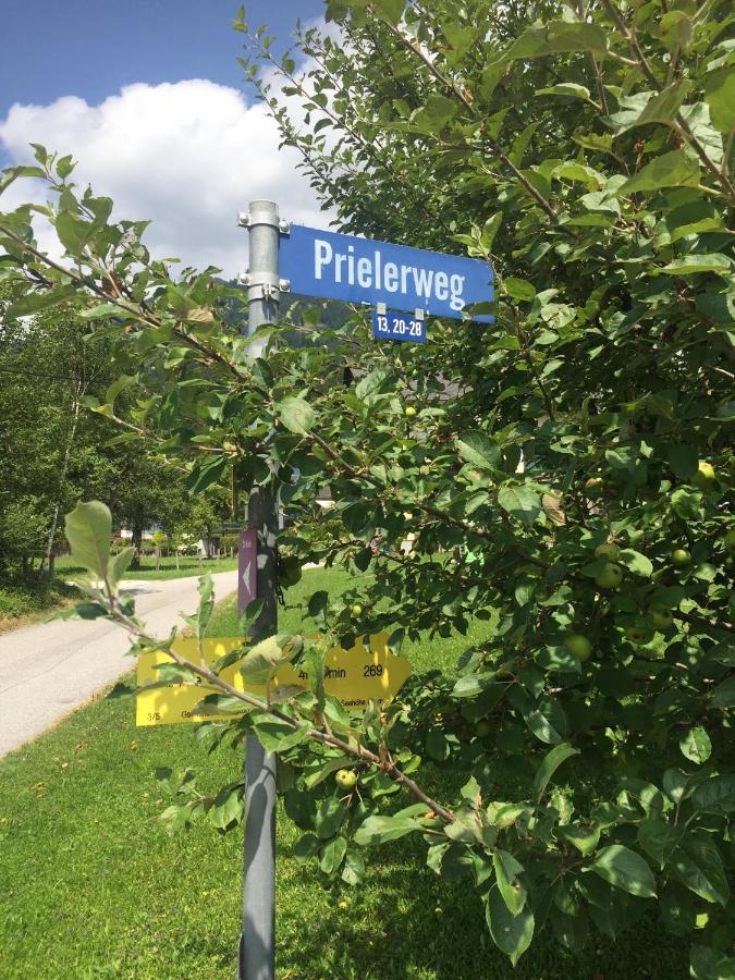 Exklusive Ferienwohnung Am Prielerweg In Hinterstoder Dış mekan fotoğraf