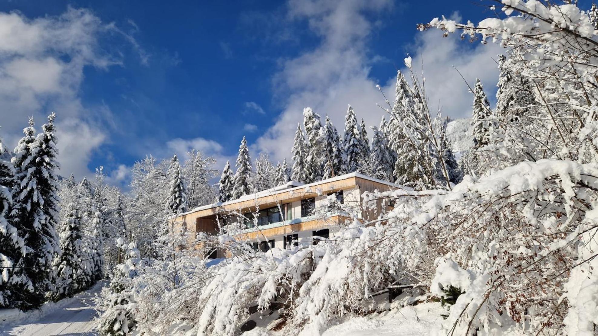 Exklusive Ferienwohnung Am Prielerweg In Hinterstoder Dış mekan fotoğraf
